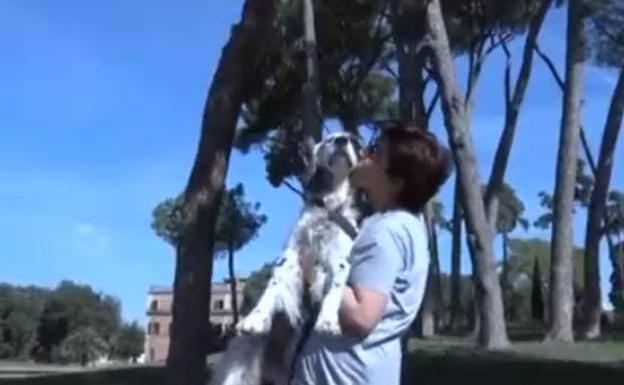 Una mujer logra que le den una baja laboral para cuidar de su perro enfermo