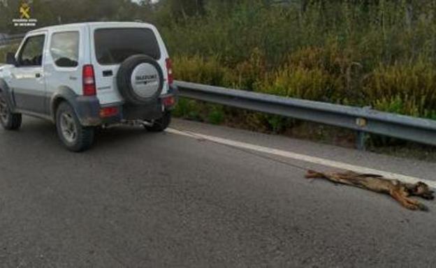 Absuelto el hombre que mató a un perro arrastrándolo en el remolque de su todoterreno