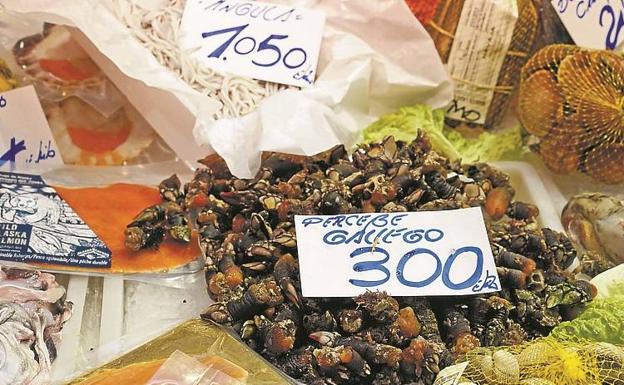 Las angulas superaban los mil euros y los percebes rondaban los 300.