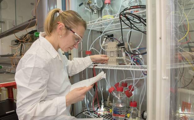 Gipuzkoa ‘invierte’ 480.000 euros en la captación de investigadores internacionales