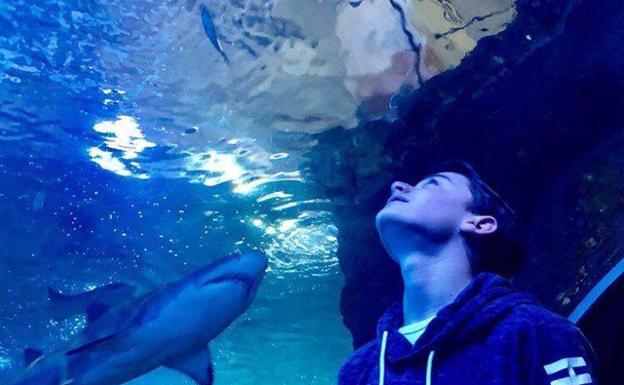 Noah Schnapp, 'William Byers' en 'Stranger Things', visita Donostia