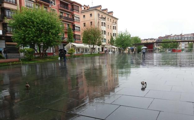 Los dos patos en la Plaza de San Juan, en Irun/