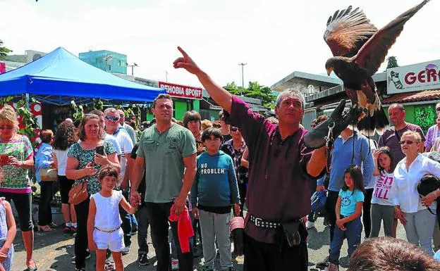 Cetrería. Los vuelos de las rapaces, como la música y diversos personajes, ambientaron el mercado durante las tres jornadas. /F. Portu