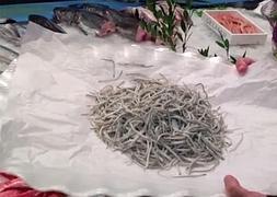 ¿Angulas o gulas?