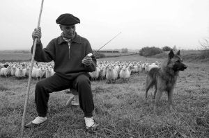 Un pastor. Escuchando el transistor, junto a su perro y detrás el rebaño de ovejas, una de las fotos de la muestra. :: IÑAKI VERGARA/