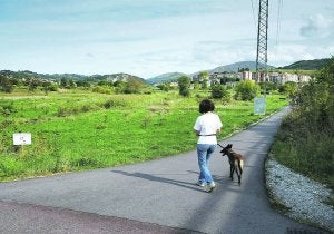 Espacio verde. Una mujer pasea con su perro por un camino del parque de Osinbiribil. ::
F. DE LA HERA/