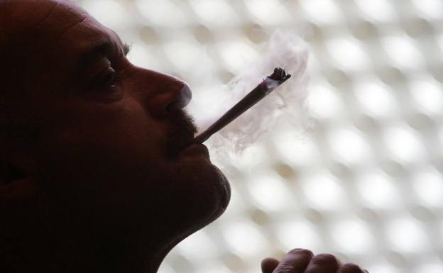 Al Humo Diario Llega Vasco Marihuana El Congreso De La 71vZWwXq