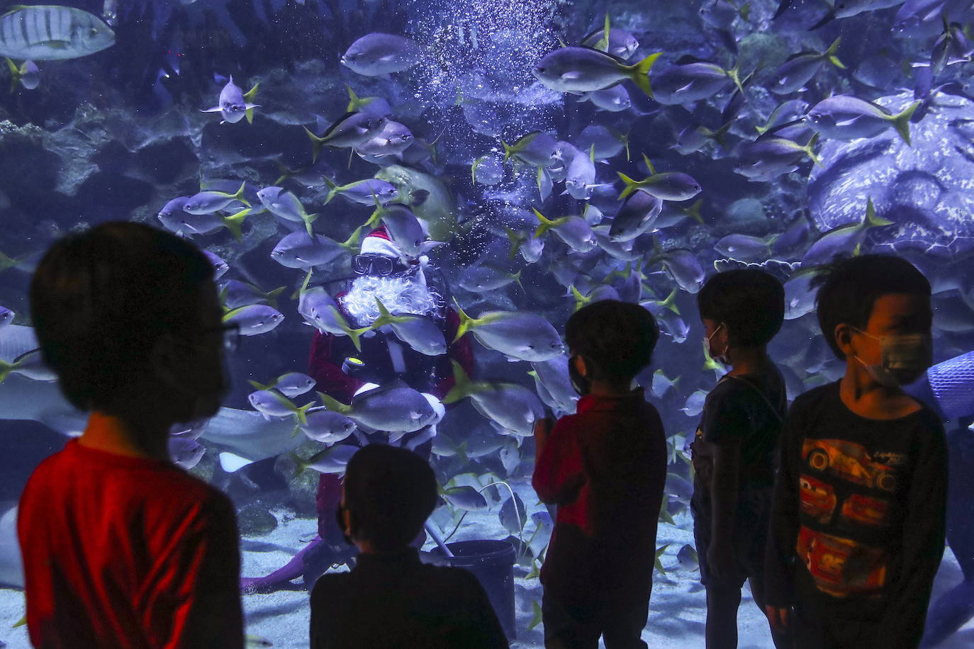 Donostiako Aquariuma/EFE