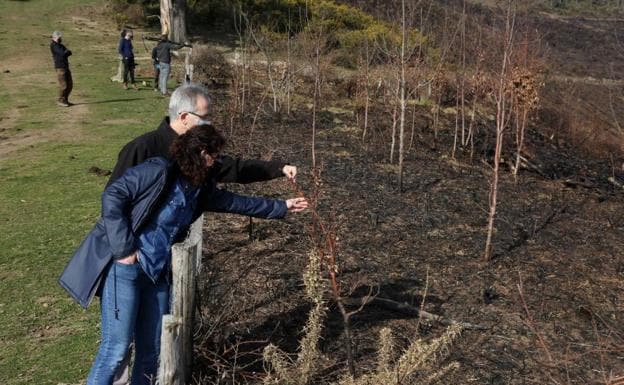 Ismael Mondragón y Arantxa Ariztimuño observan varias de las zonas calcinadas./Lusa