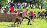 Los toritos de Ruso hicieron las delicias en la tarde del sabado./FOTOS AITOR