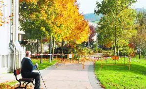 Corte del paseo del parque de Zumaburu por la poda de árboles a cargo de  Iberdrola | El Diario Vasco